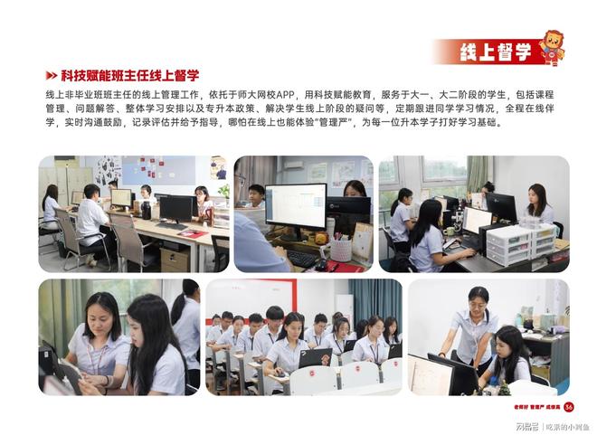 本丨山东专升本培训行业标杆尊龙人生就是博师大教育专升(图18)